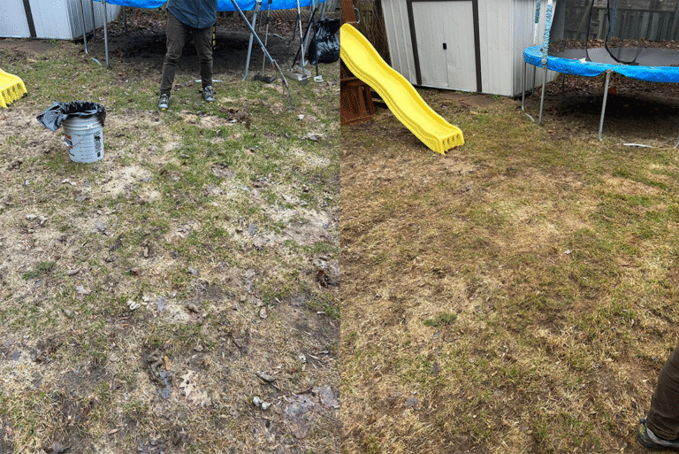 Firefly_Gemini Flash (1)